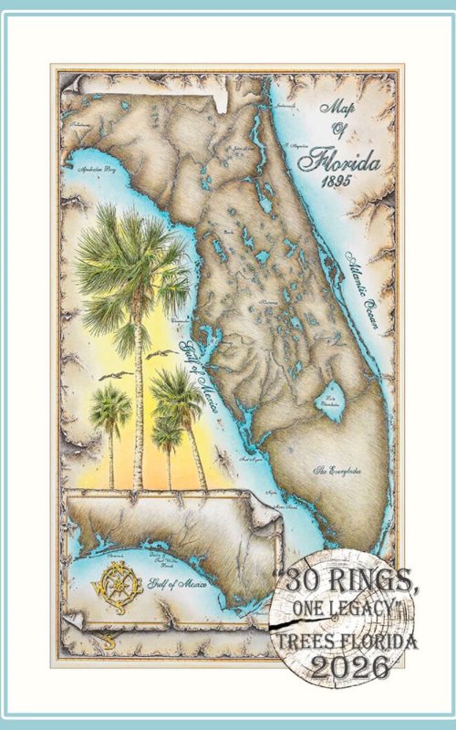 Trees Florida
